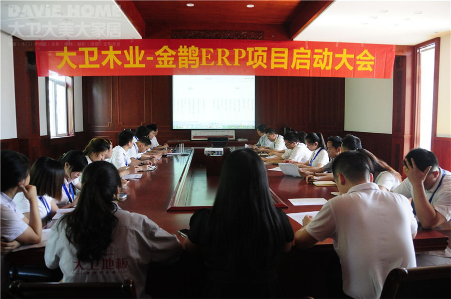大卫-金鹊ERP项目启动大会.jpg