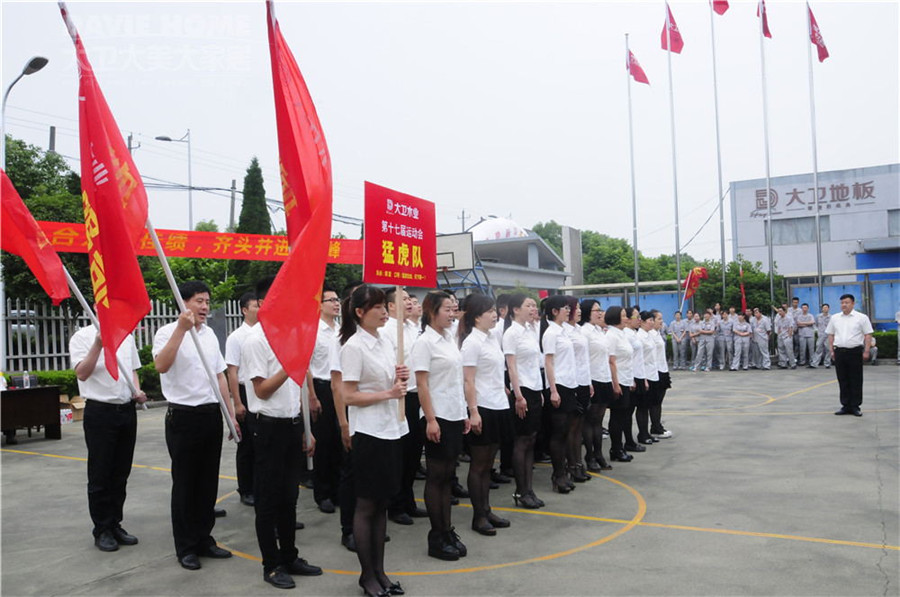 大卫第十七届运动会隆重举行.jpg