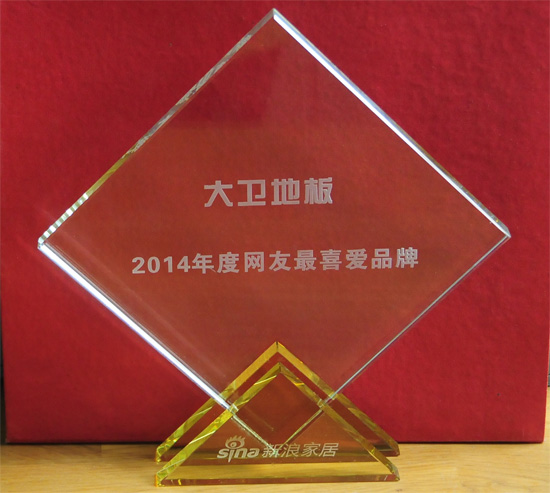 大卫地板被授予“2014年度网友最喜爱品牌”殊荣.jpg