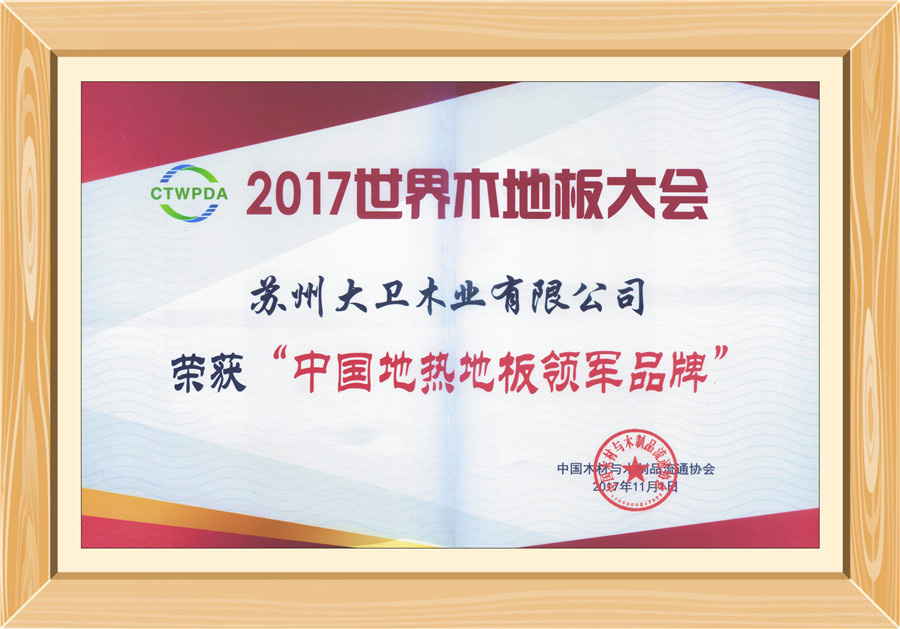 大卫地板荣获“中国地热地板领军品牌”0.jpg